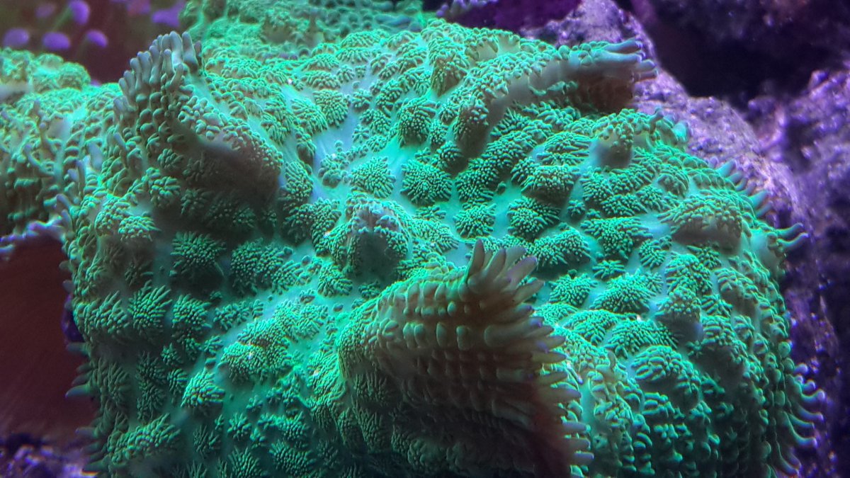 20160426_162135.jpg