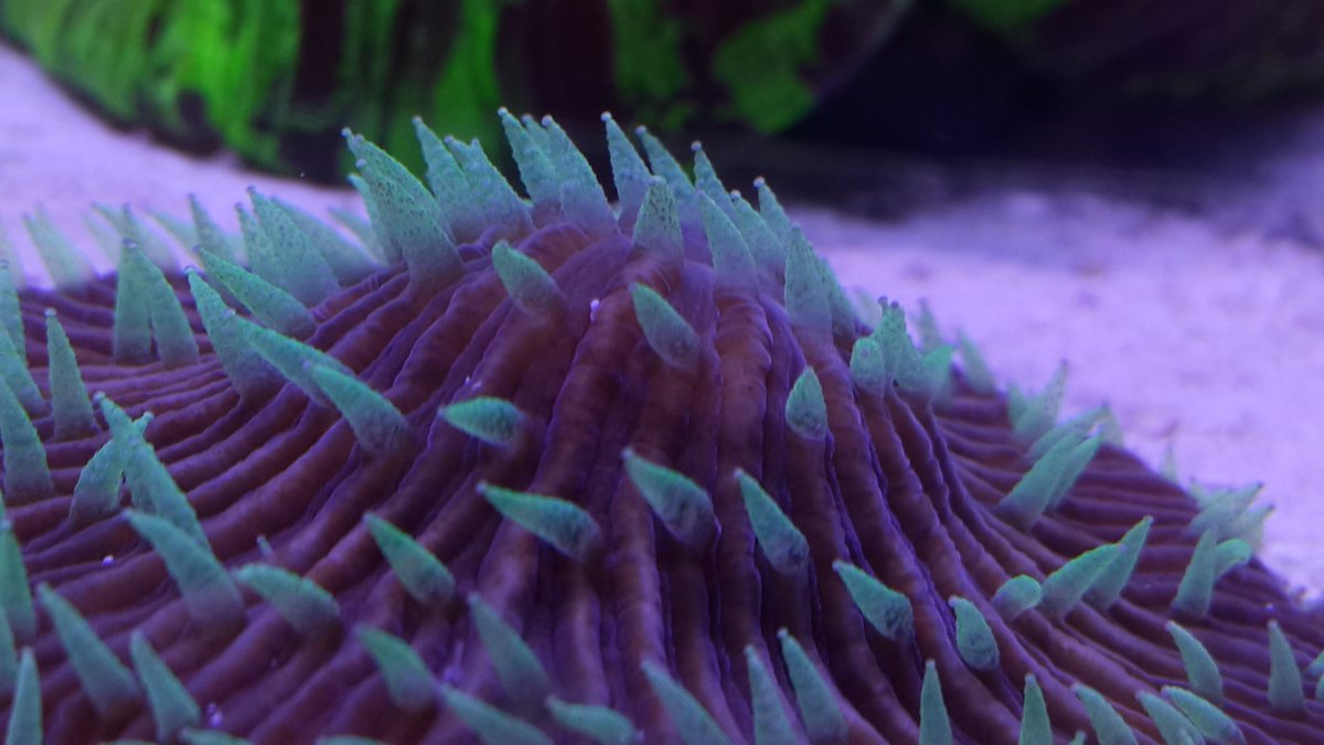 20160427_125128.jpg