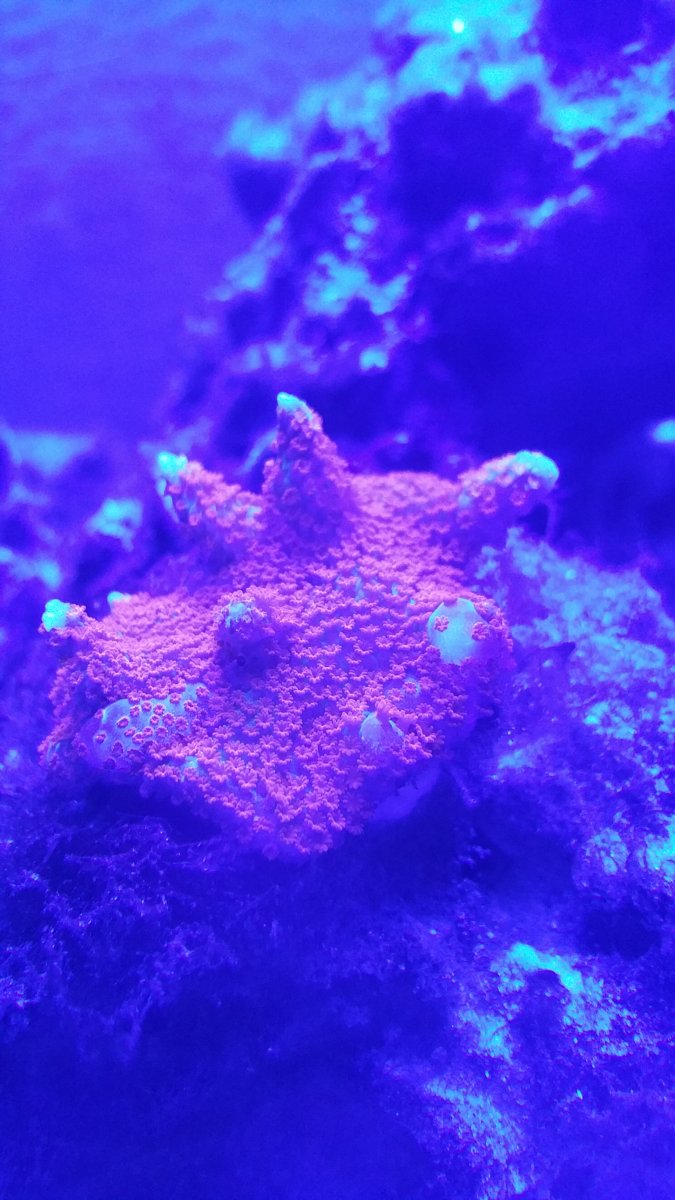 20160428_194206.jpg