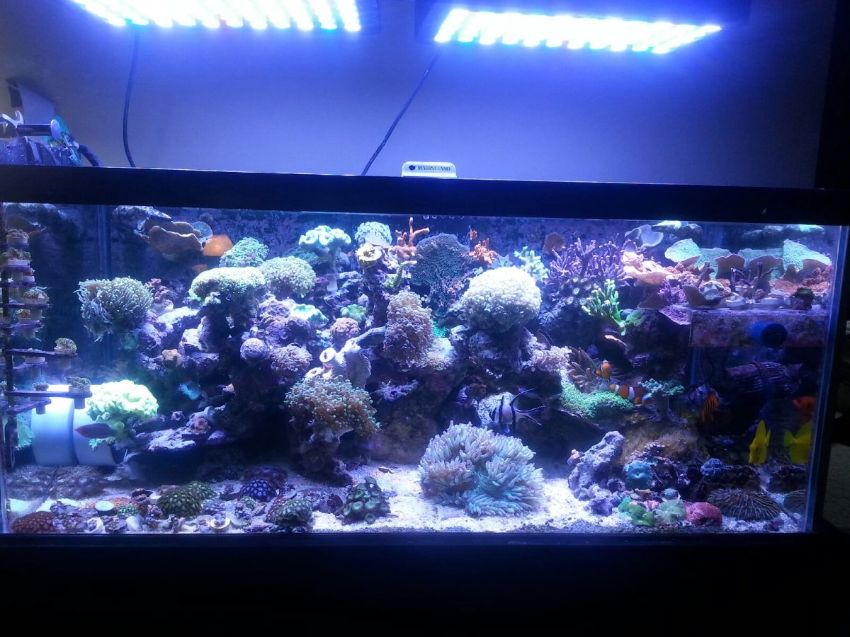 20160430_113713.jpeg