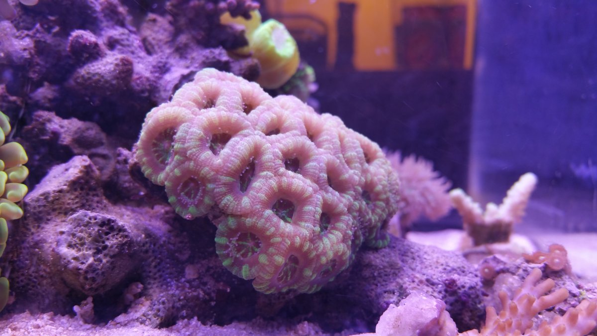 20160503_192559.jpg