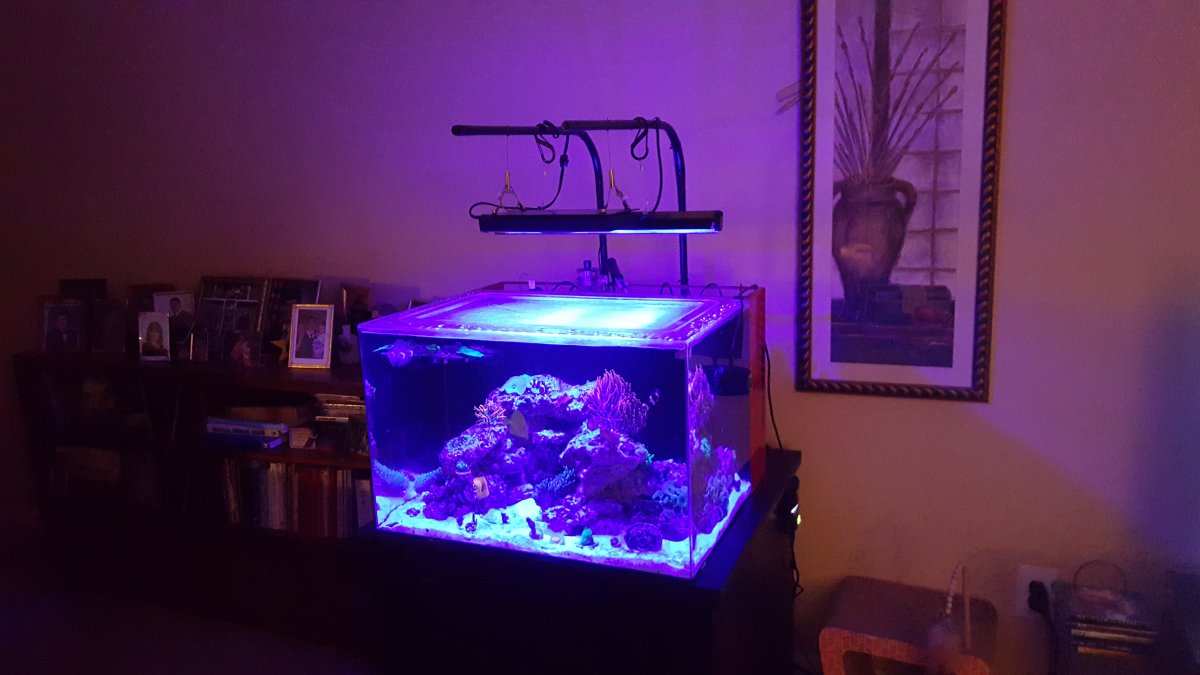 20160505_213530.jpg