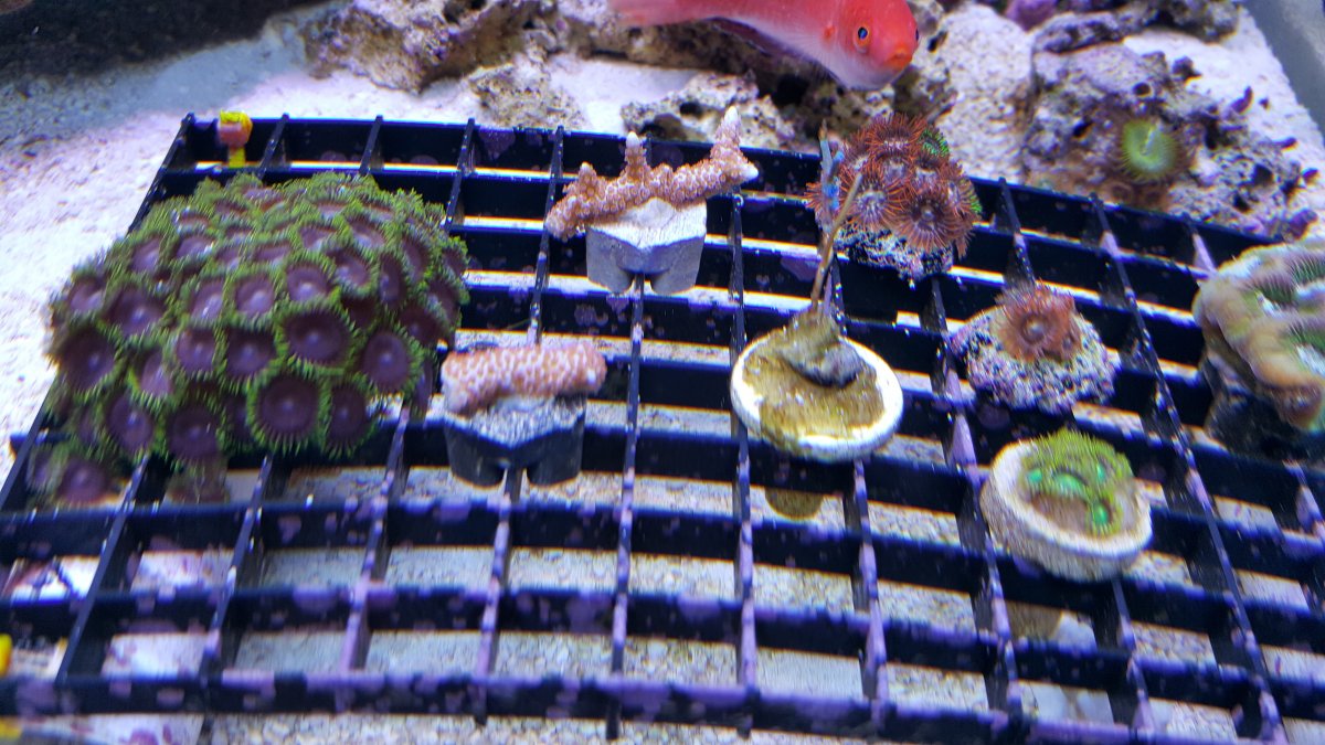 20160508_190032.jpg