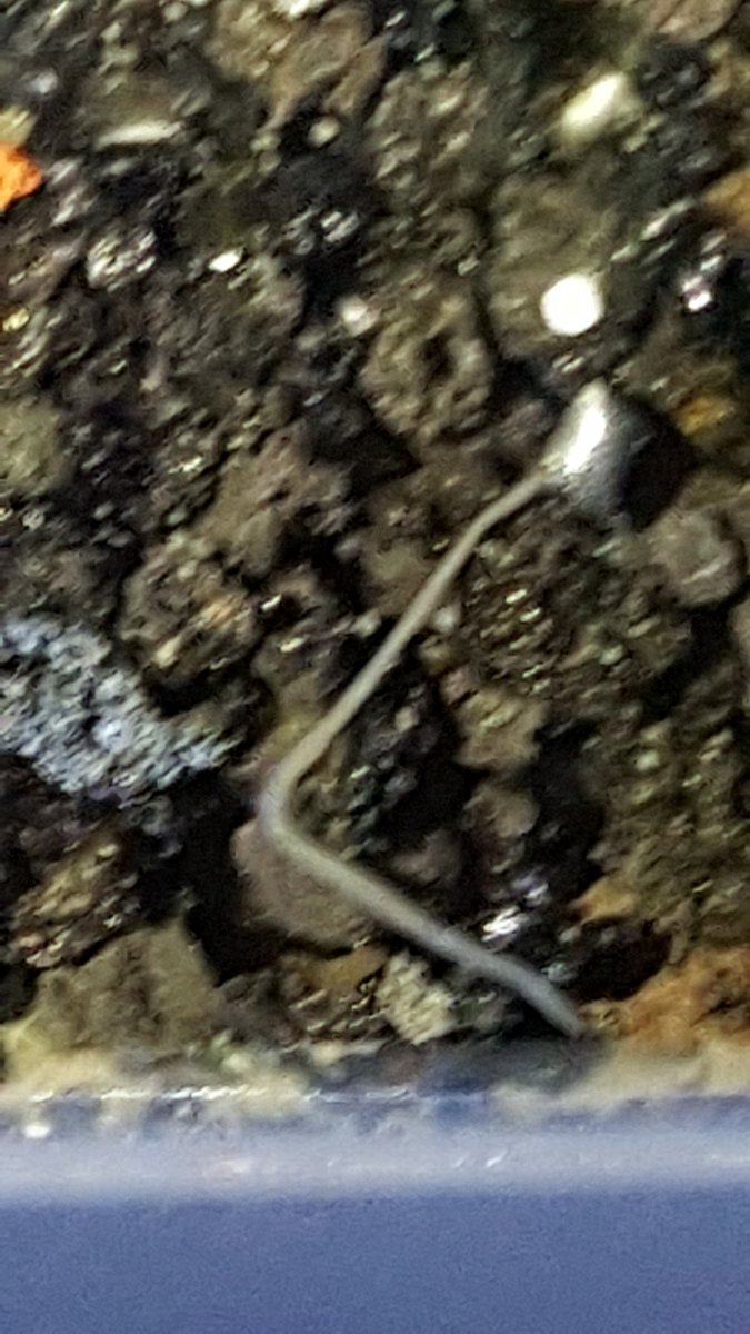20160512_230804.jpg