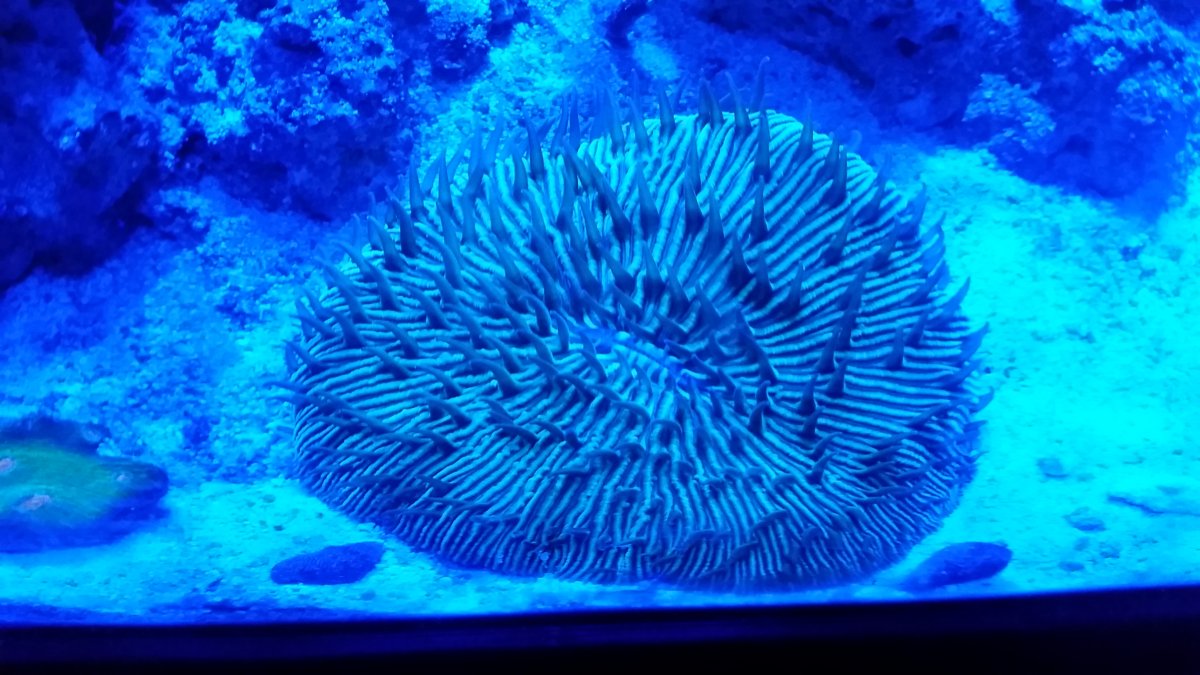 20160520_200225.jpg