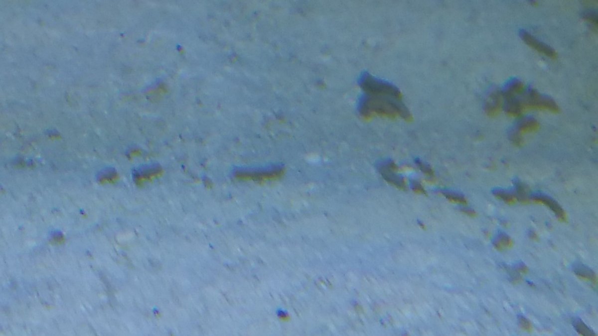 20160521_164256.jpg