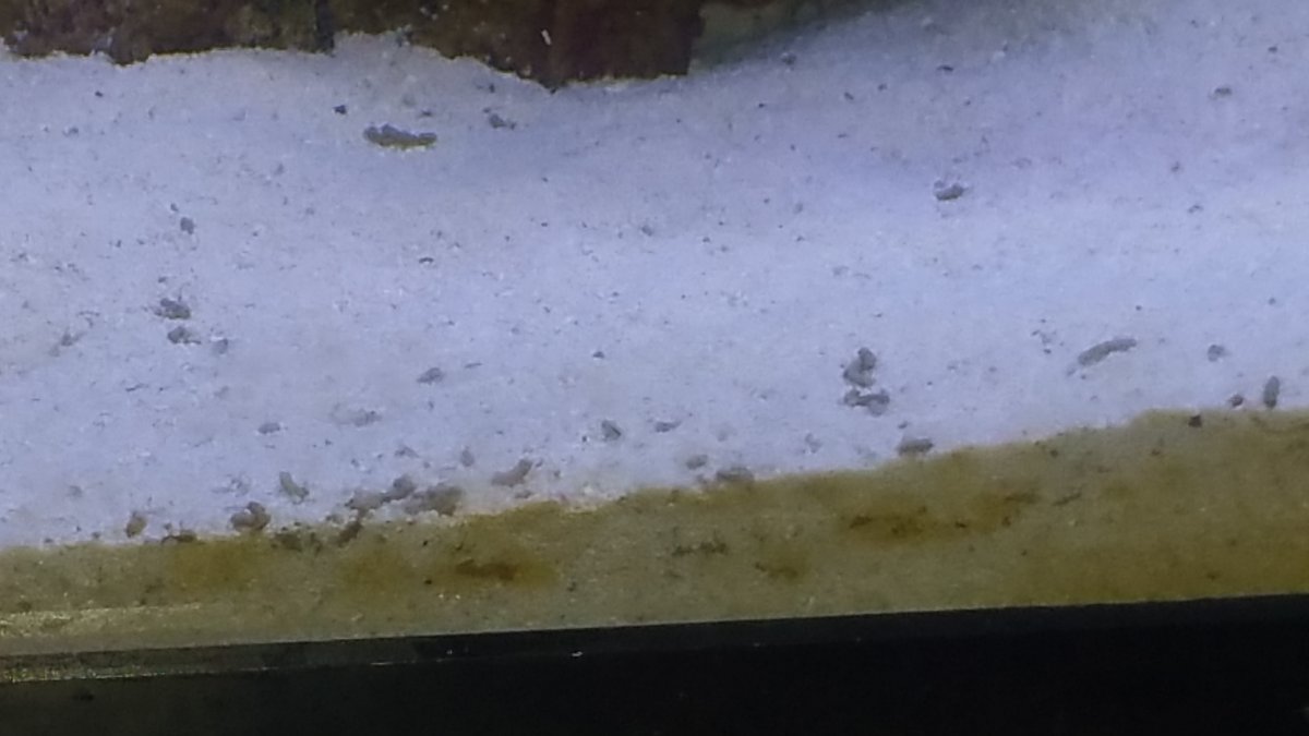 20160521_164329.jpg