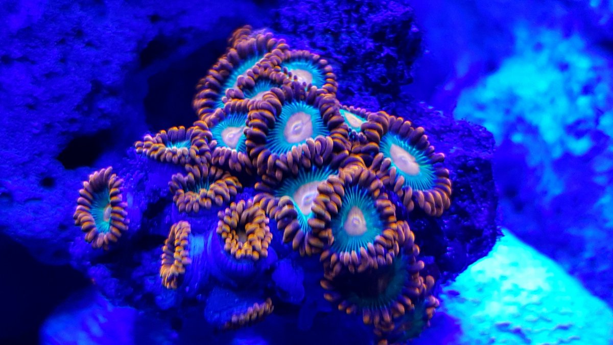 20160527_190352.jpg