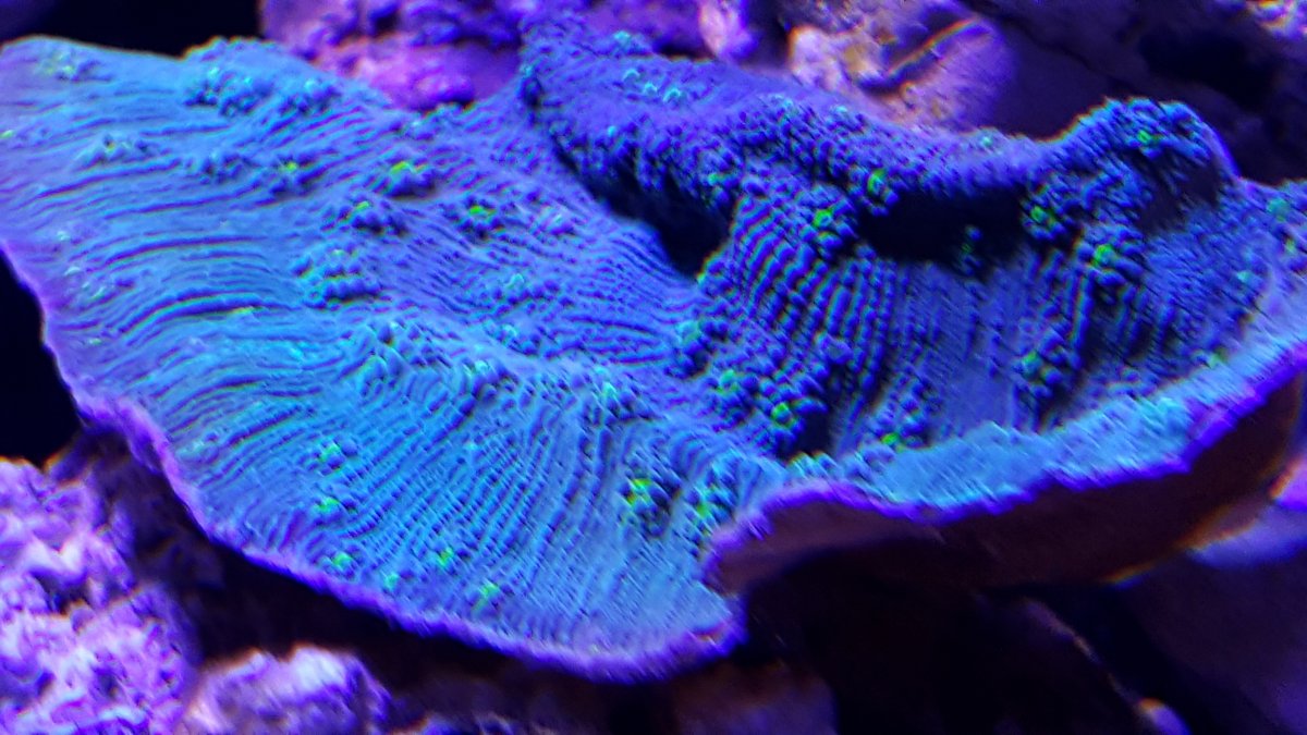 20160527_200127.jpg