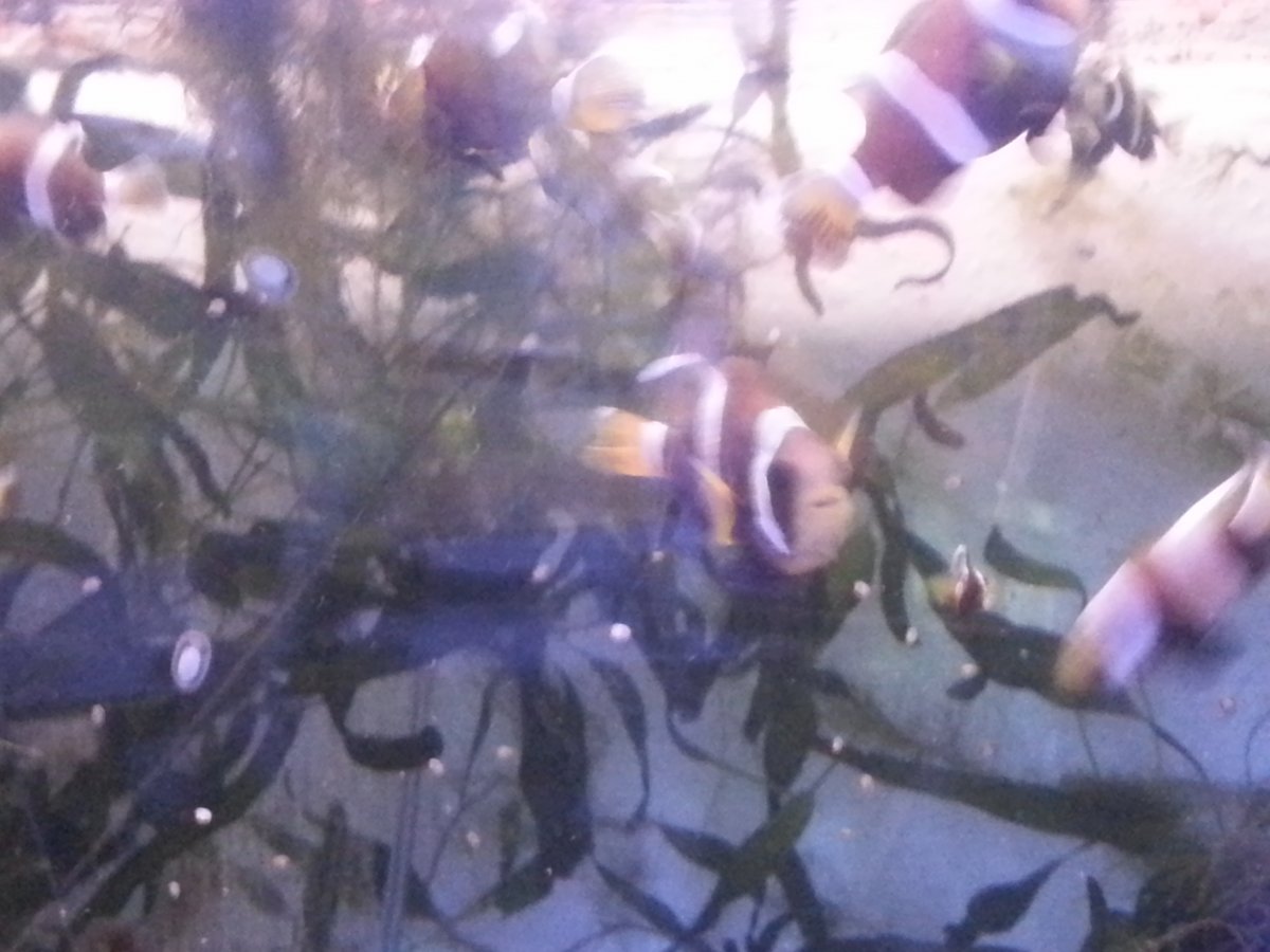 20160606_104146.jpg