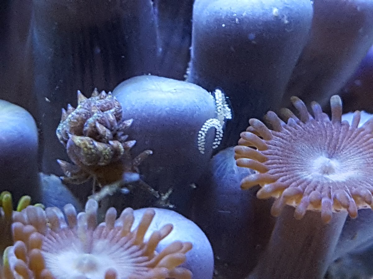 20160608_165002.jpg