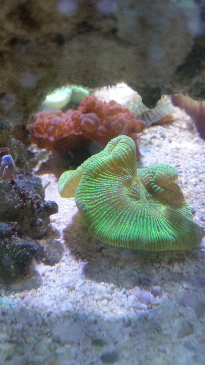 20160615_190103.jpg