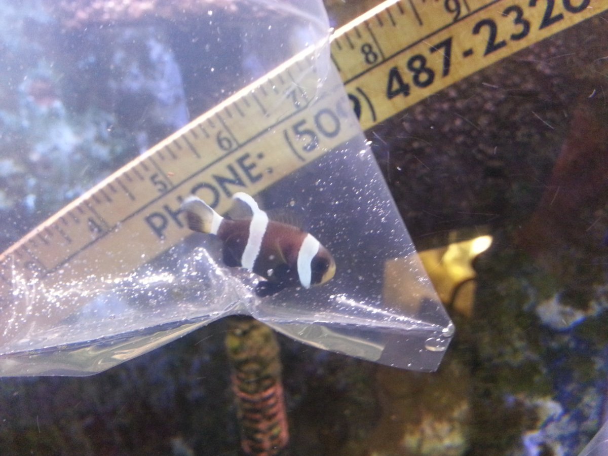 20160620_201113.jpg