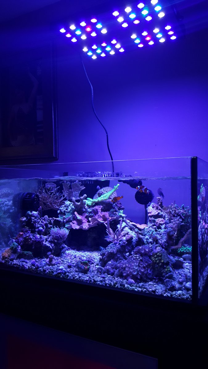 20160621_142437.jpg