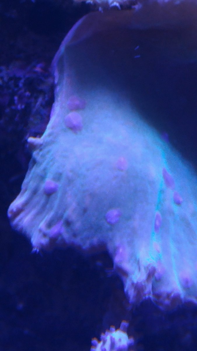20160623_103134.jpg