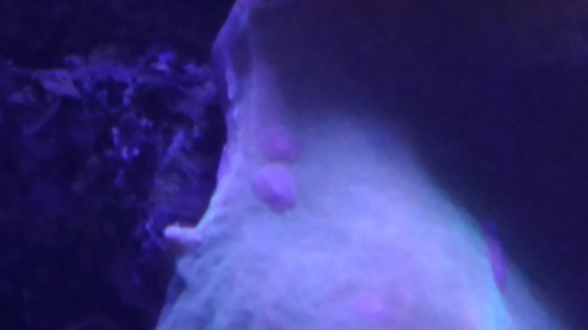 20160623_103236.jpg