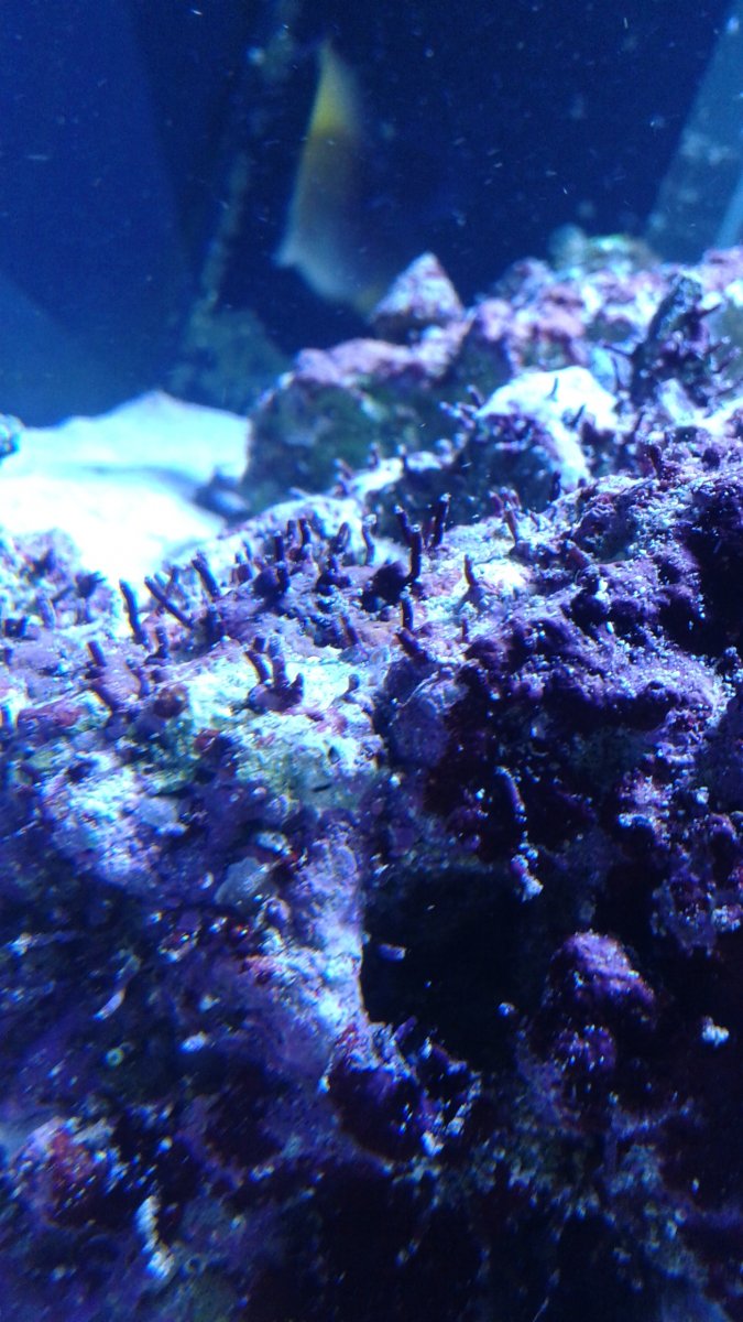 20160702_205226.jpg