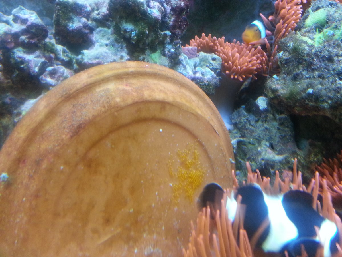20160709_063256.jpg