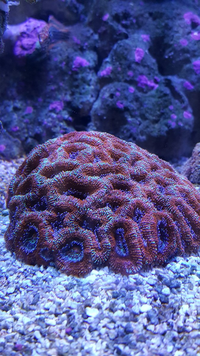 20160717_185159.jpg
