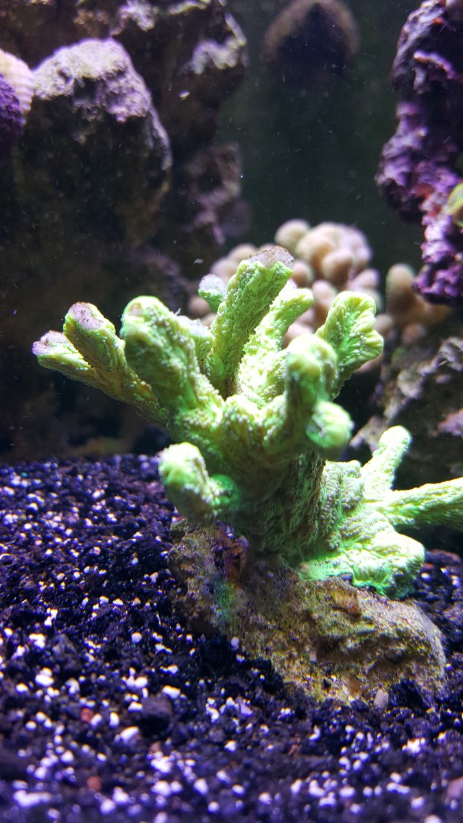 20160717_200027.jpg
