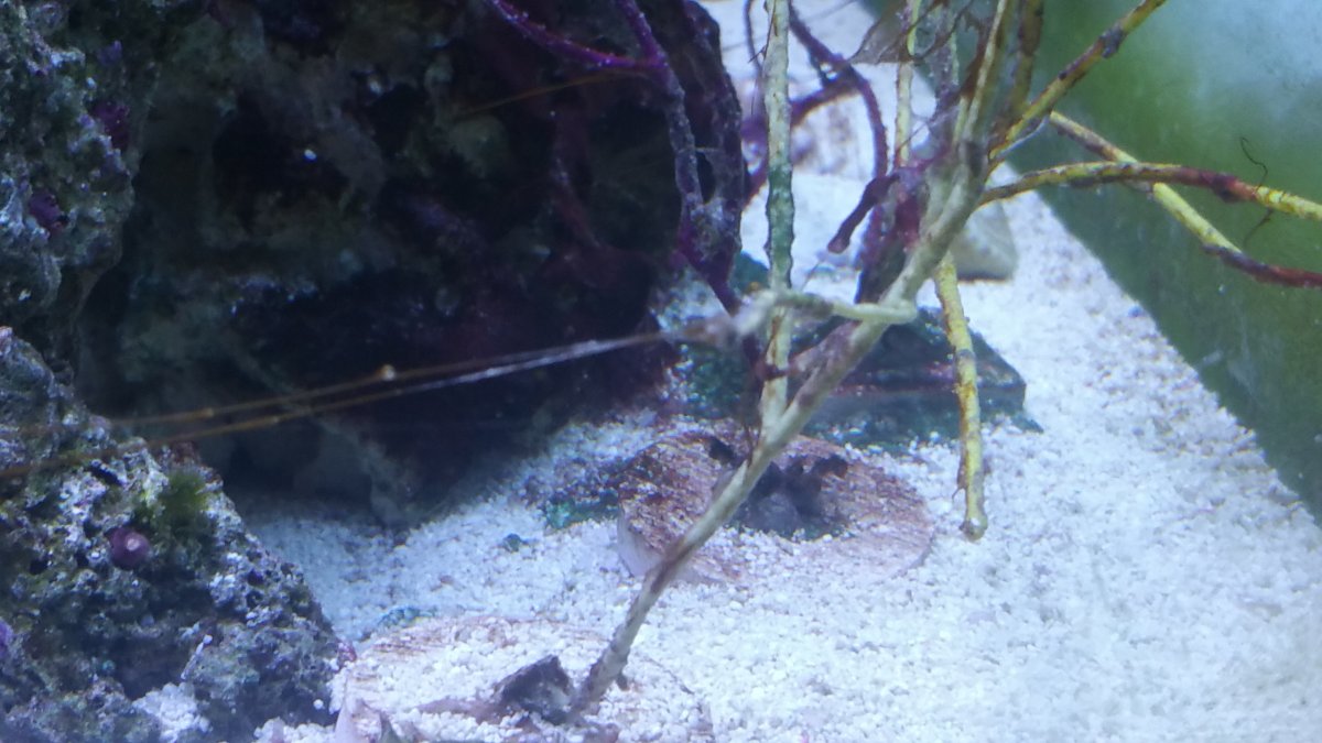 20160722_154425.jpg