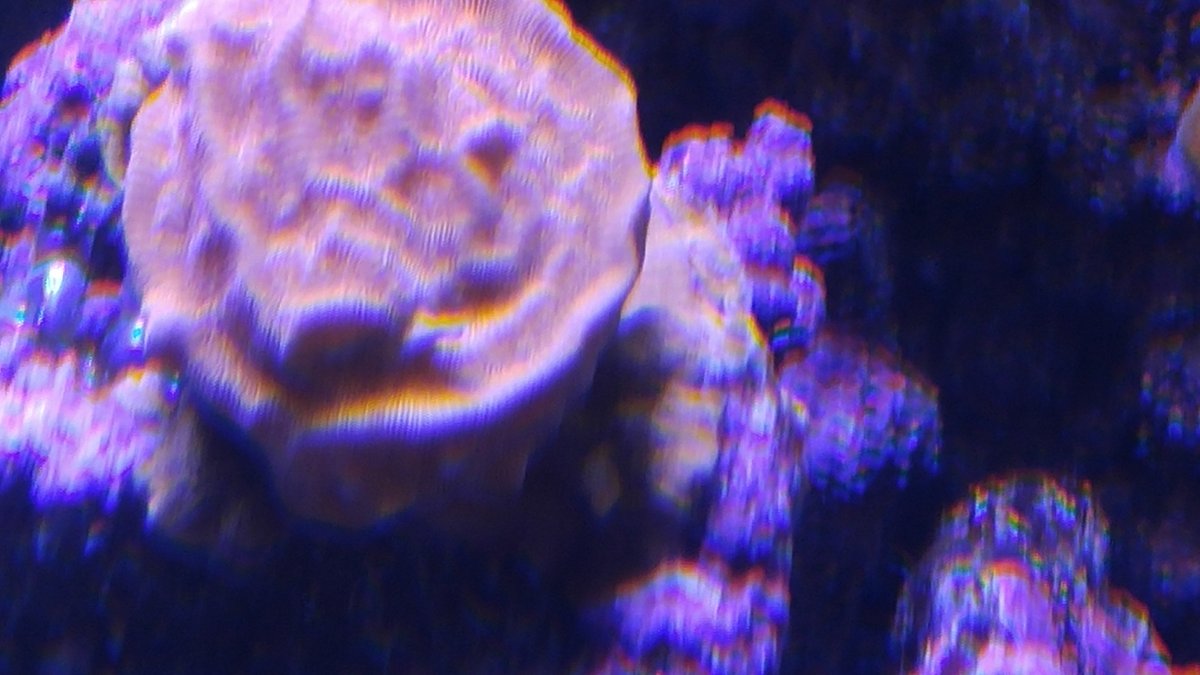 20160722_170108.jpg