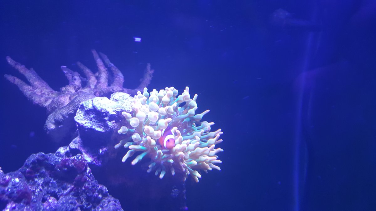 20160725_210147.jpg