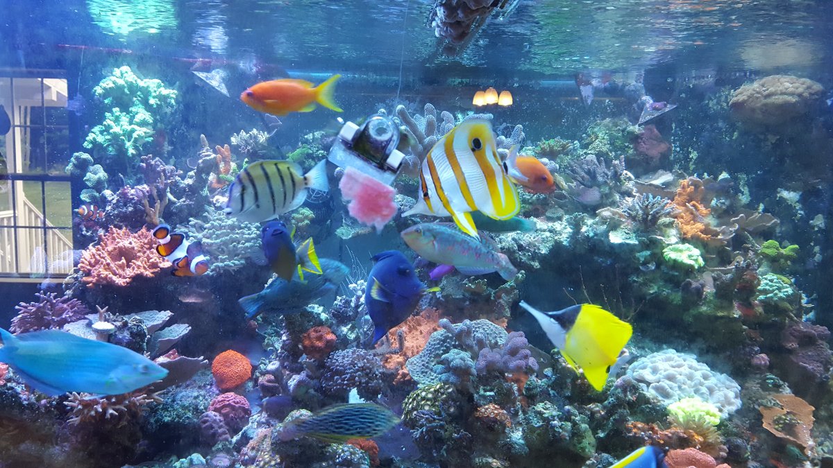 20160731_162011.jpg