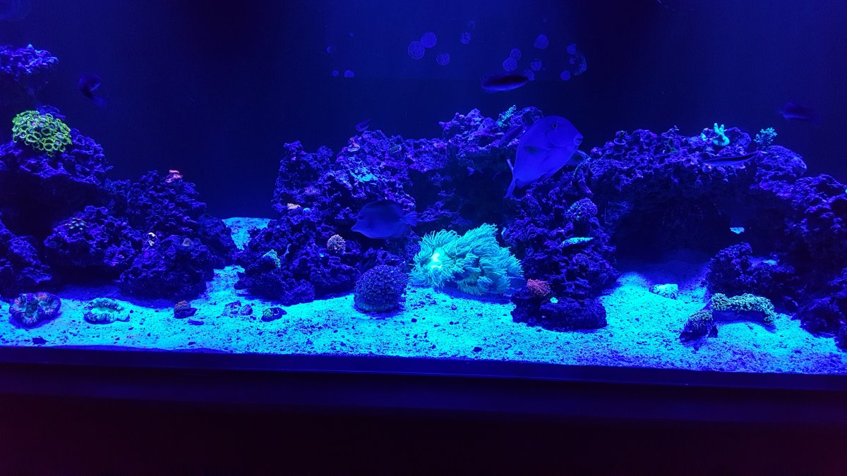 20160805_202139.jpg