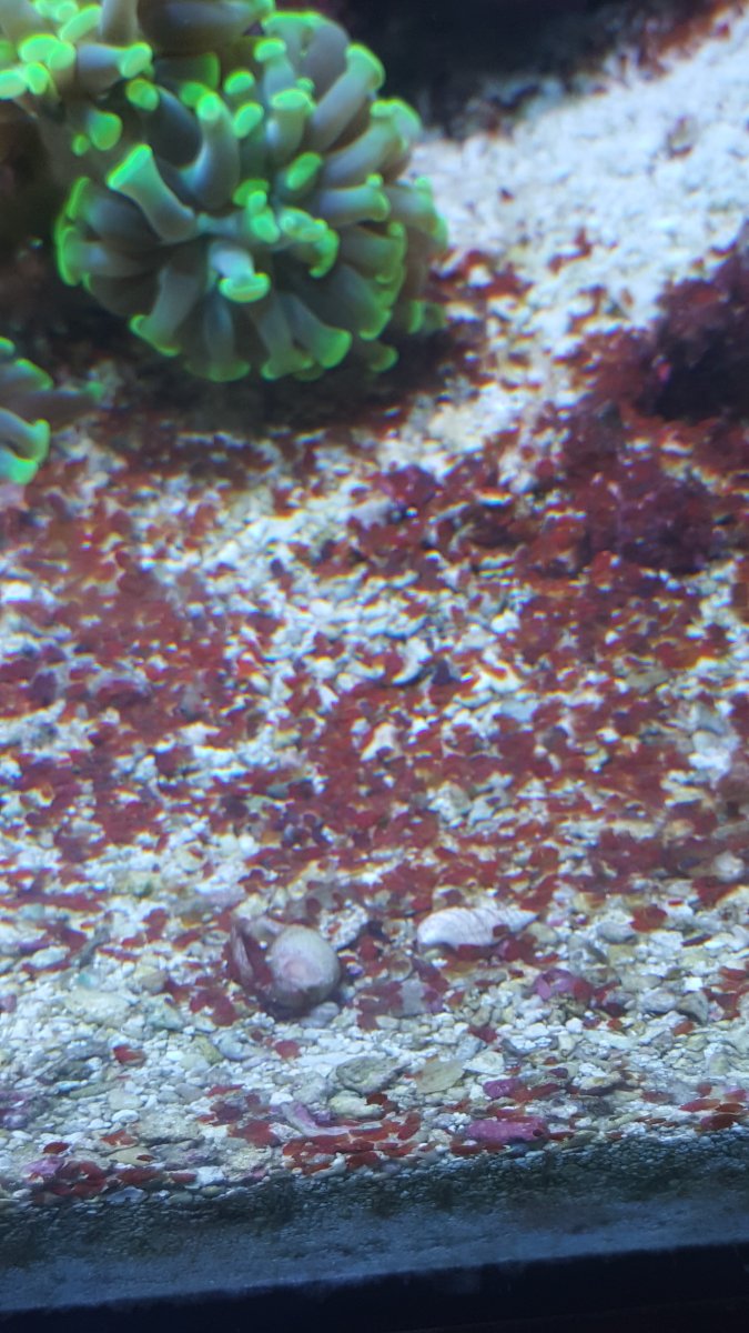 20160811_124102.jpg