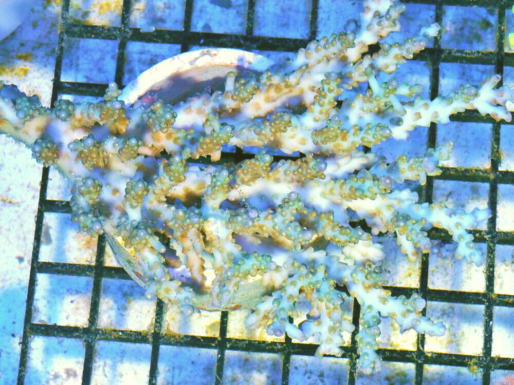 20160812_162128.jpg