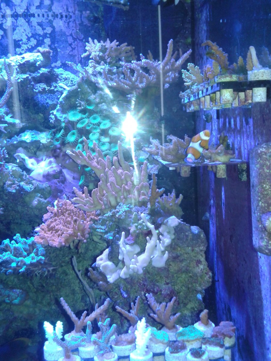 20160816_135948.jpg