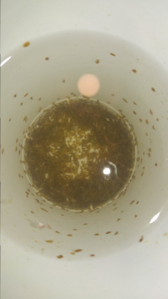 20160830_185429.jpg