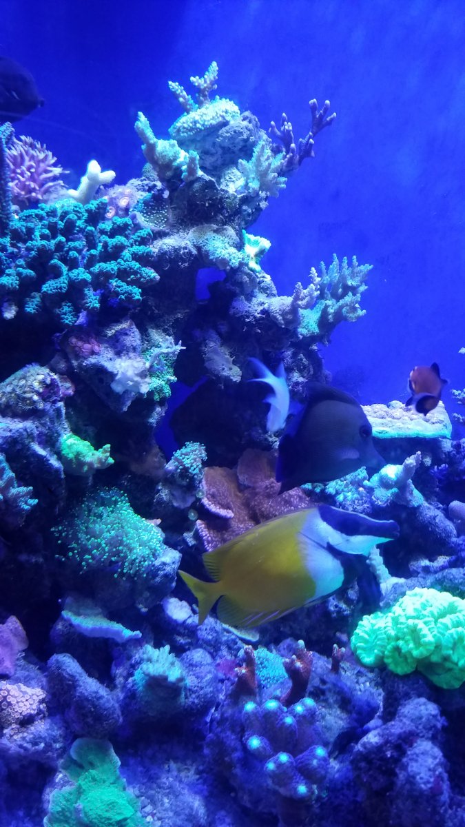 20160903_121024.jpg