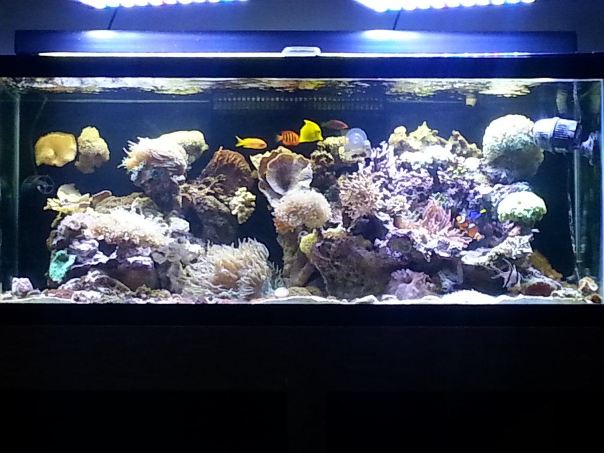 20160905_201601.jpg