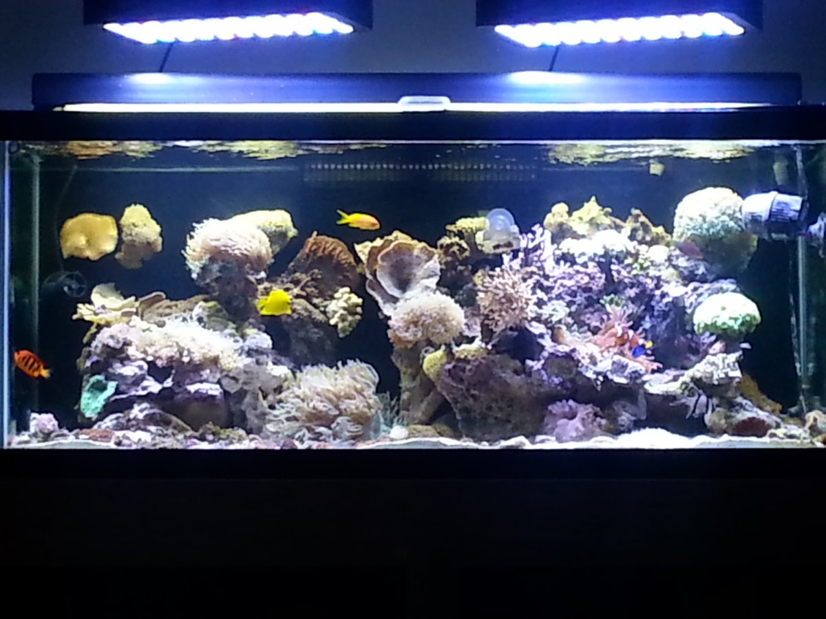 20160905_201716.jpg