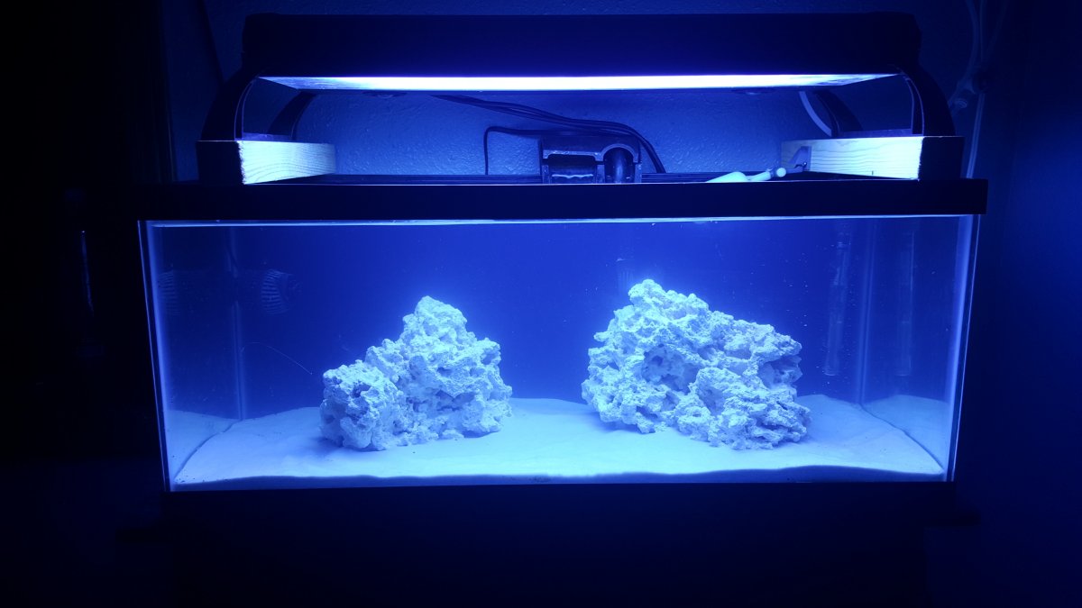20160905_210329.jpg