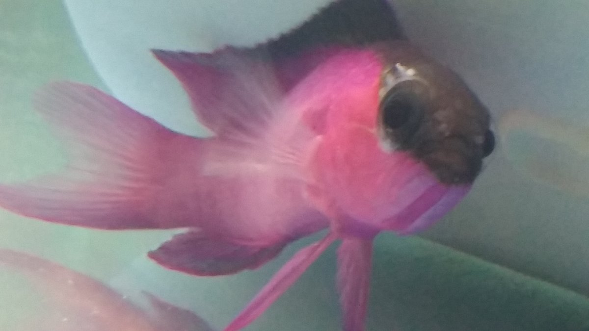20160912_174752.jpg