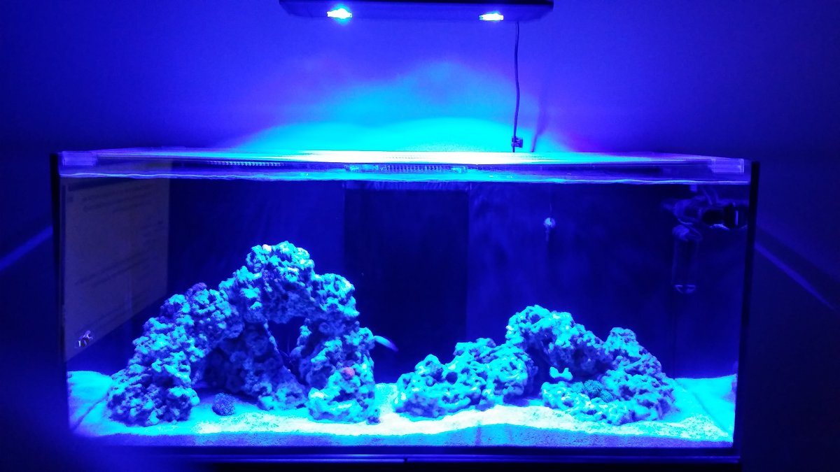 20160912_214909.jpg