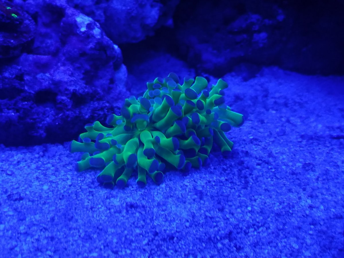 20160912_220131.jpg