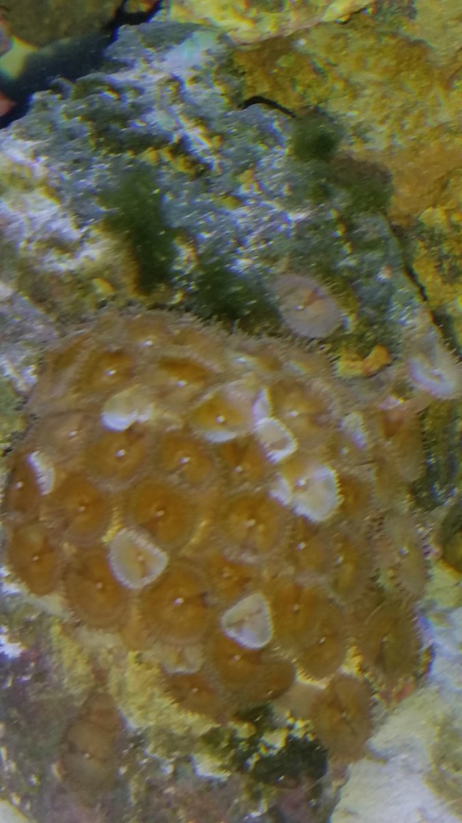 20160918_214433.jpg