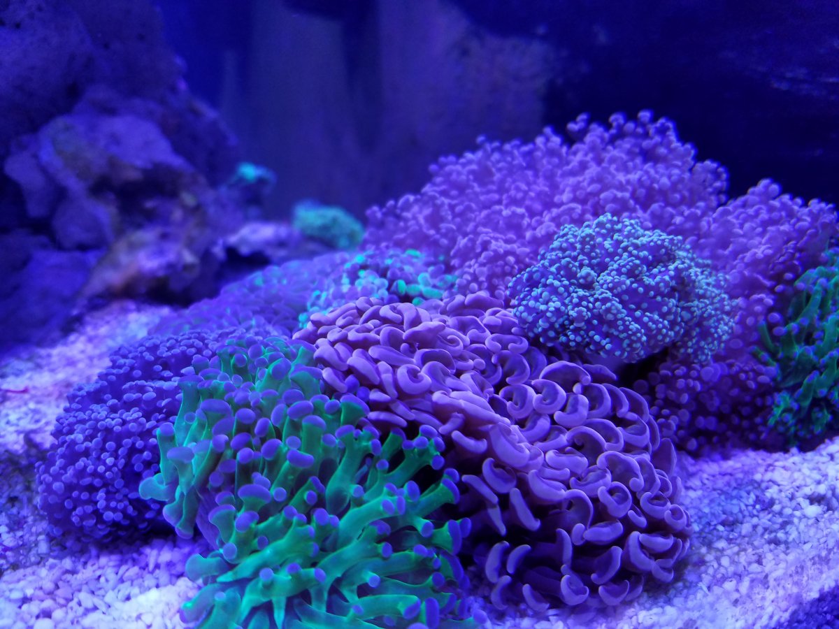 20160922_190638.jpg