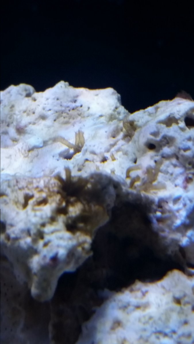 20160924_114402.jpg