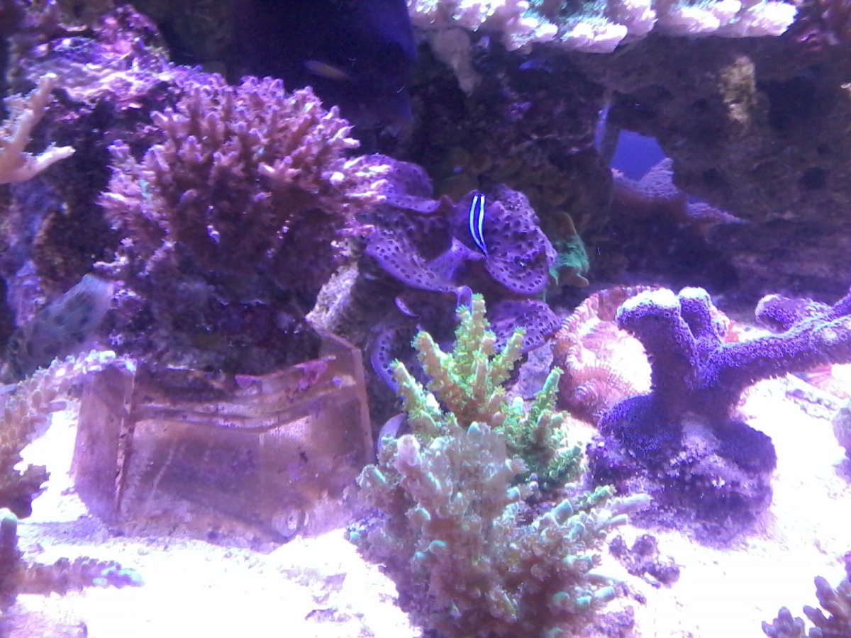 20160927_173230.jpg