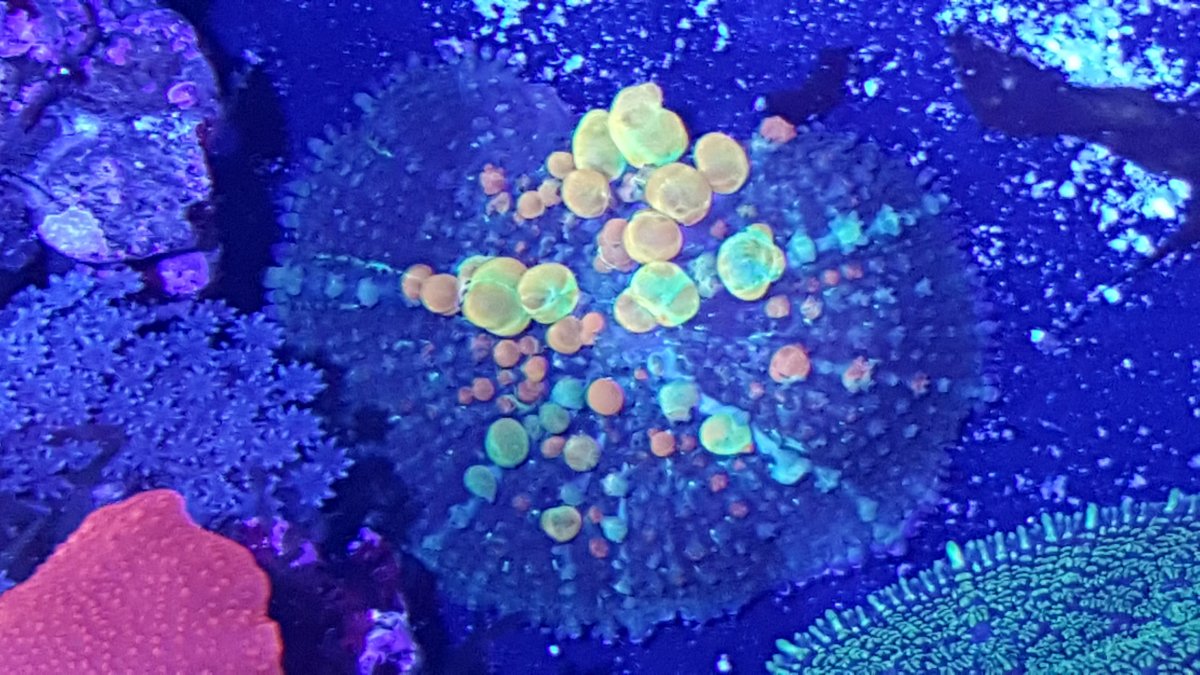 20160928_214321.jpg