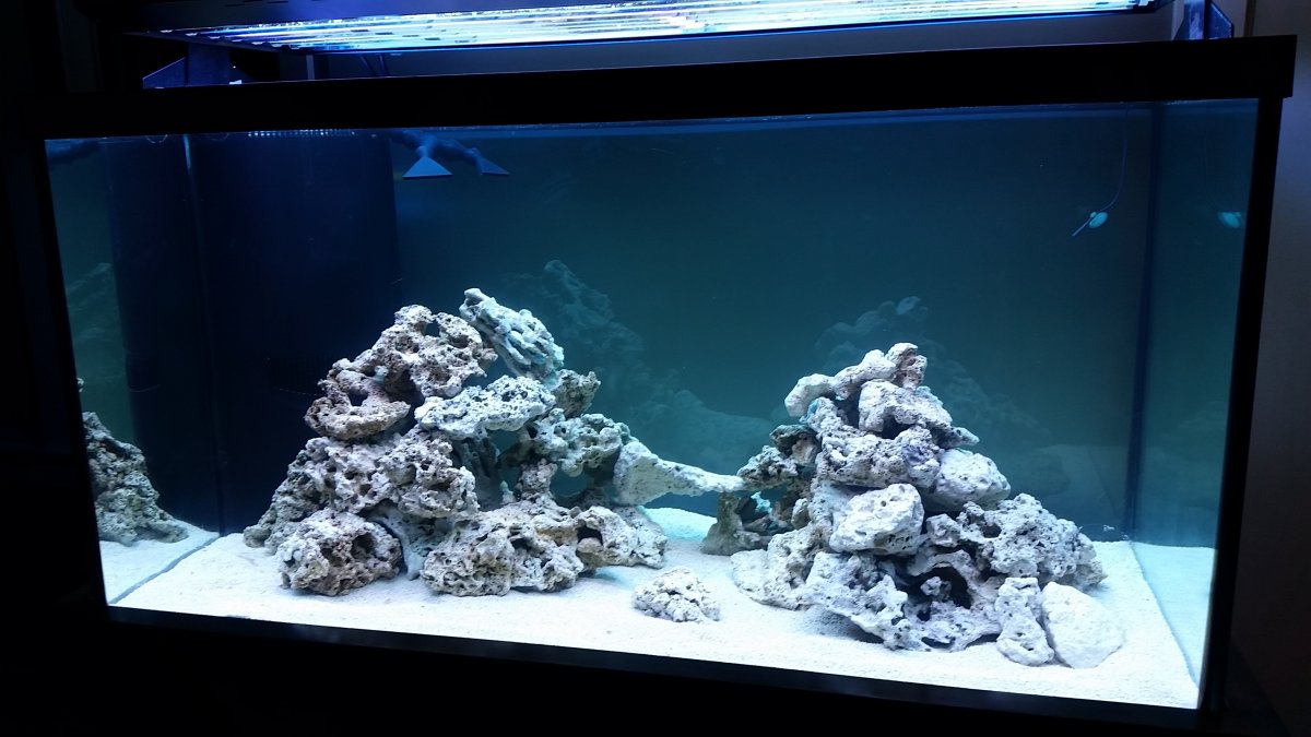 20160928_221809.jpg
