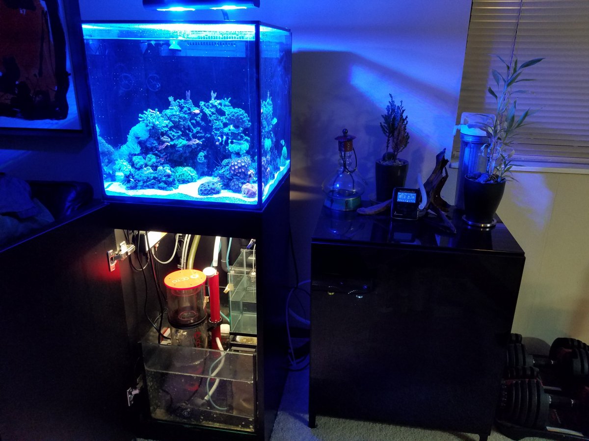 20160929_224817.jpg