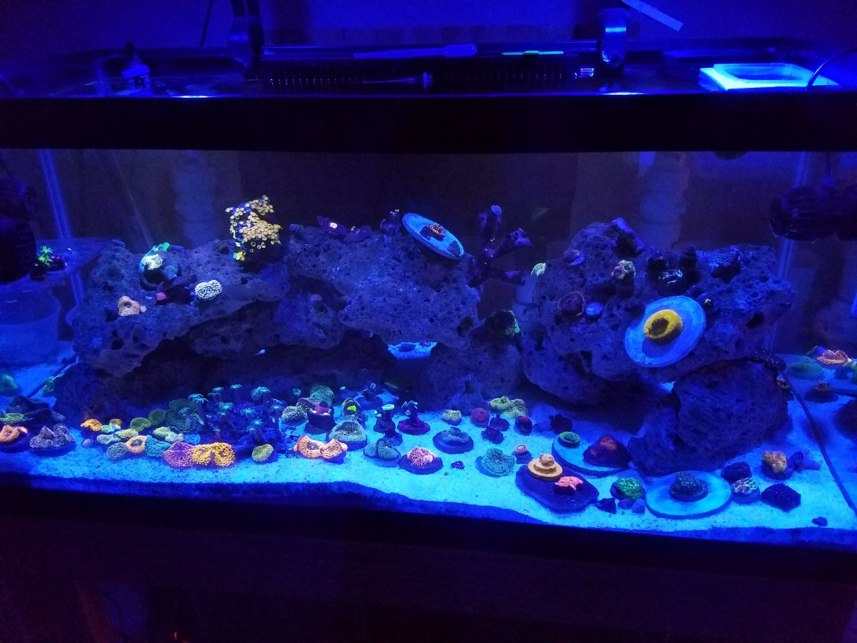 20160930_200423.jpg