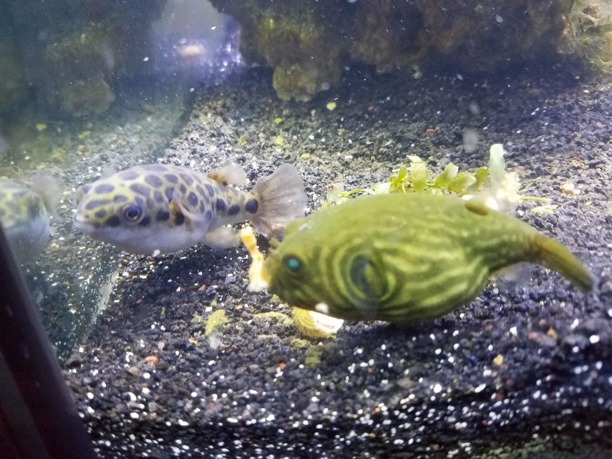 20160930_224752.jpg