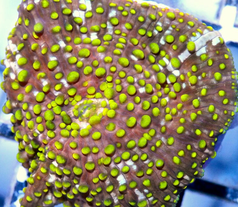 20161004_071426.jpg